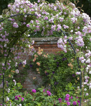 Monet's Arch The Most Spectacular Garden Arch In The World-2