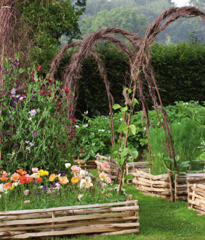 The Benefits Of Willow Tent Plant Support